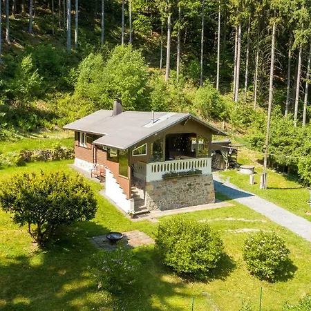 Tatil Evi Natur Ferienhaus Trebnitzgrund - Urlaub Im Wald Glashutte (Saxony)